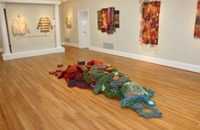 Leisa Rich united states artist