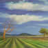 Des Howell australian artist