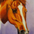 Eloise-Knees Lydford australian artist