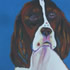 canadian artist Jane MacLeod Dow
