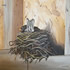Jace Richarde canadian artist