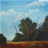 canadian artist Sharon Steinhaus