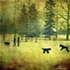 Roberta Murray canadian artist
