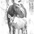Sharon Girdwood canadian artist