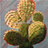 canadian artist Karen McNab