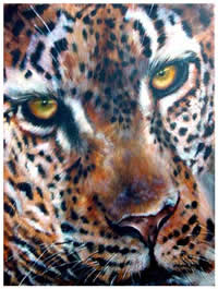 south african artist helena fourie