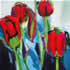 Connie Van Winnsen dutch artist