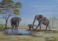 south african artist Susan Nind-Barrett