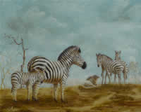 south african artist Susan Nind-Barrett
