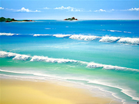colin perini australian artist
