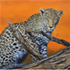artist south africa Karen Danielz