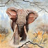 artist south africa Reuel Revere