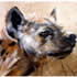 Helena Fourie south africa artist