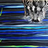 artist south africa Anton Butler