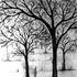 Riaan van Zyl south african artist