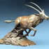 Barry Jackson south african artist