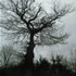 Zoe Grace united kingdom artist