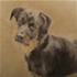 Nicola Paterson united kingdom artist
