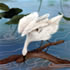 artist united states Noriko Cooper Sawabe