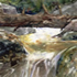 united states artist Wes Waugh