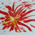 united states artist Rod Schneider