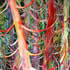 Helen R Klebesadel artist united state artist