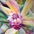 Laura Gilfedder united states artist