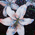 united states artist Lee Ann Petropoulos