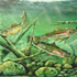 artist united states Brad Quist