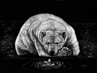 Judy Blake canadian artist