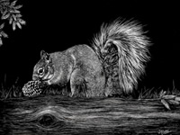 Judy Blake canadian artist