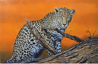 south african artist Karen Danielz