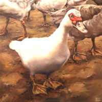 south african artist Festa Joubert