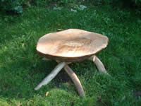 Chuck Martin united states artist