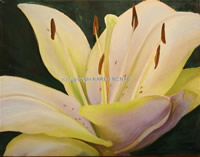 Karen McNab canadian artist