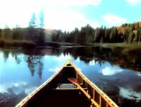 Vesa Peltonen canadian artist