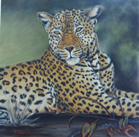 south african artist Nellie Visser