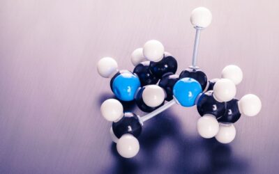 What Are The Different Types Of Alkaloids?