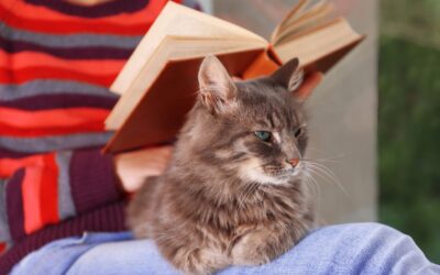 Why Does My Cat Sit on My Lap When I Poop: Understanding the Cat’s Behavior