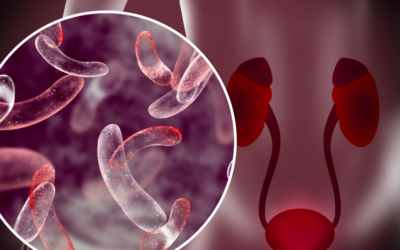 Shielding Vital Organs: How Do Serous Membranes Protect Organs From Infection
