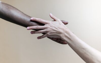 Genetic Diversity Is Essential for Species Survival and Adaptability: Genetic Diversity Requires __________.