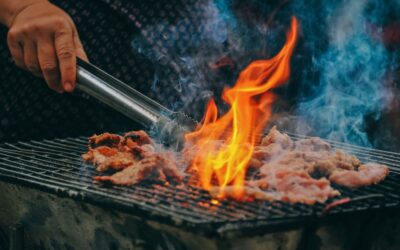 Weber Genesis ii E-310: The Perfect Outdoor Grilling Choice for Performance, Durability, and Style