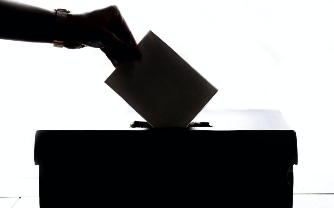 como votar en la casa de los famosos 2022