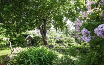 The Art of Outdoor Spaces: Designing Garden Installations with Art and Synthetic Turf