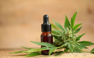 What Are the Benefits of CBD Edible Products?