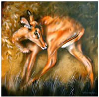 south african artist helena fourie